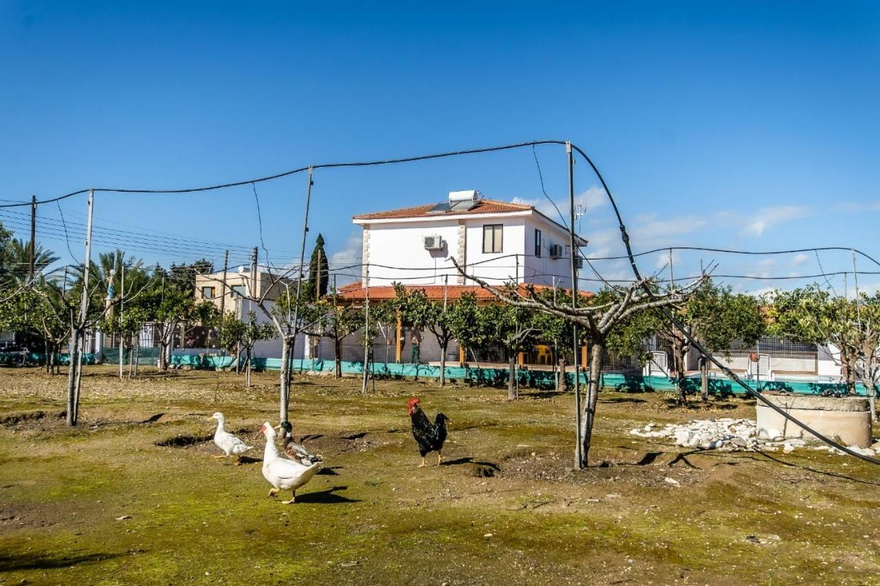 Reel Paradise Villa, Cyprus Larnaca Esterno foto